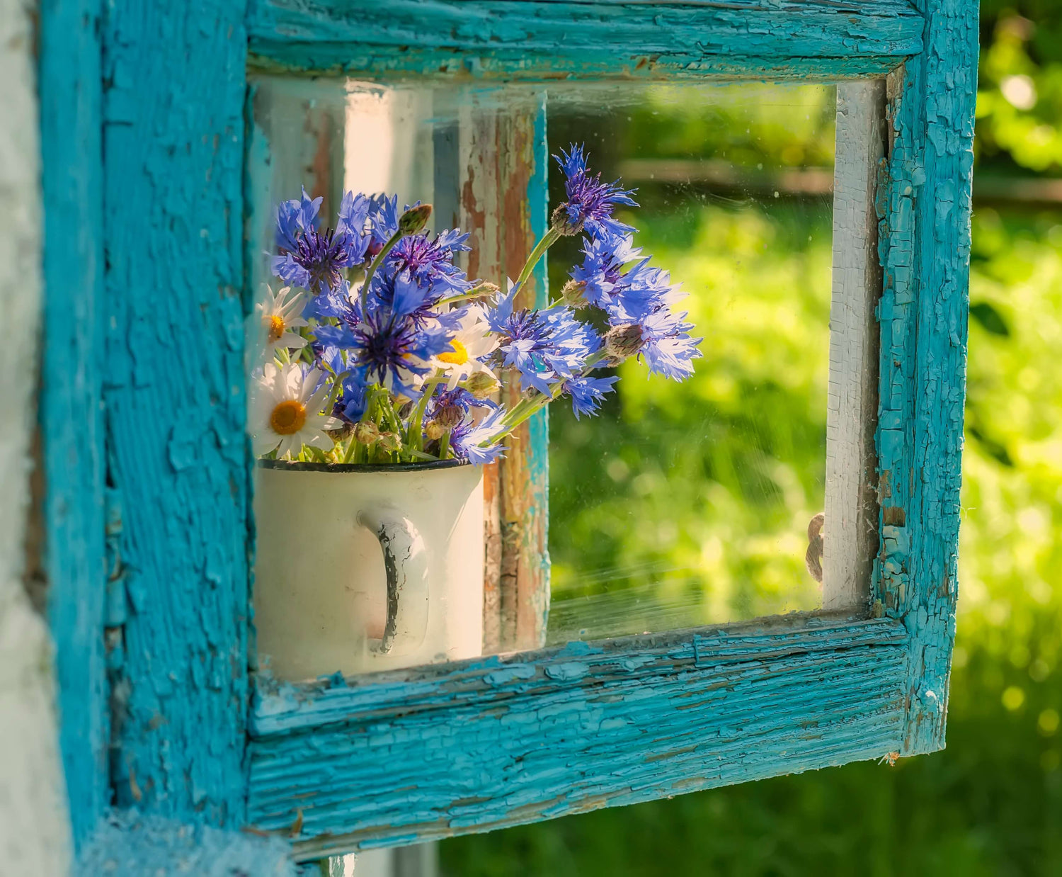 Wildblumen und Kornblumen hinter einem rustikalen Landhaus-Fenster